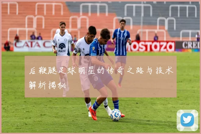 后鞭腿足球明星的传奇之路与技术解析揭秘