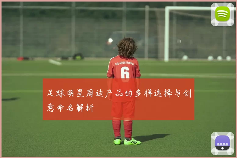 足球明星周边产品的多样选择与创意命名解析