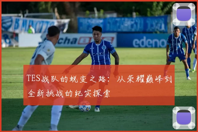 TES战队的蜕变之路：从荣耀巅峰到全新挑战的纪实探索