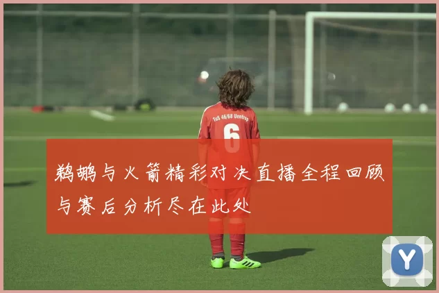 鹈鹕与火箭精彩对决直播全程回顾与赛后分析尽在此处