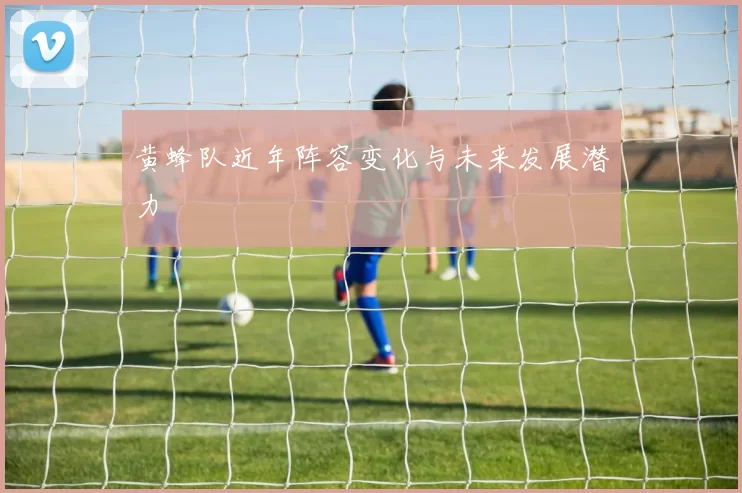 黄蜂队近年阵容变化与未来发展潜力