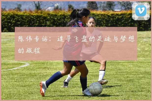 陈伟专访：追寻飞盘的足迹与梦想的旅程