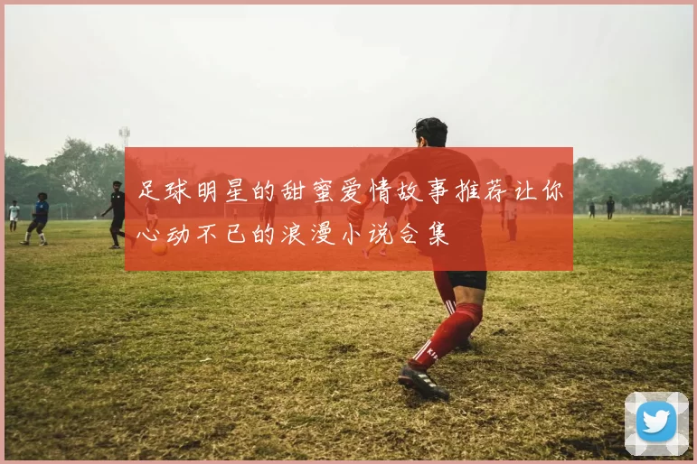 足球明星的甜蜜爱情故事推荐让你心动不已的浪漫小说合集