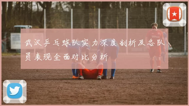武汉乒乓球队实力深度剖析及各队员表现全面对比分析
