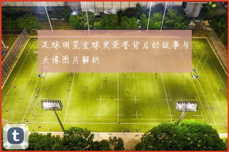 足球明星金球奖荣誉背后的故事与头像图片解析