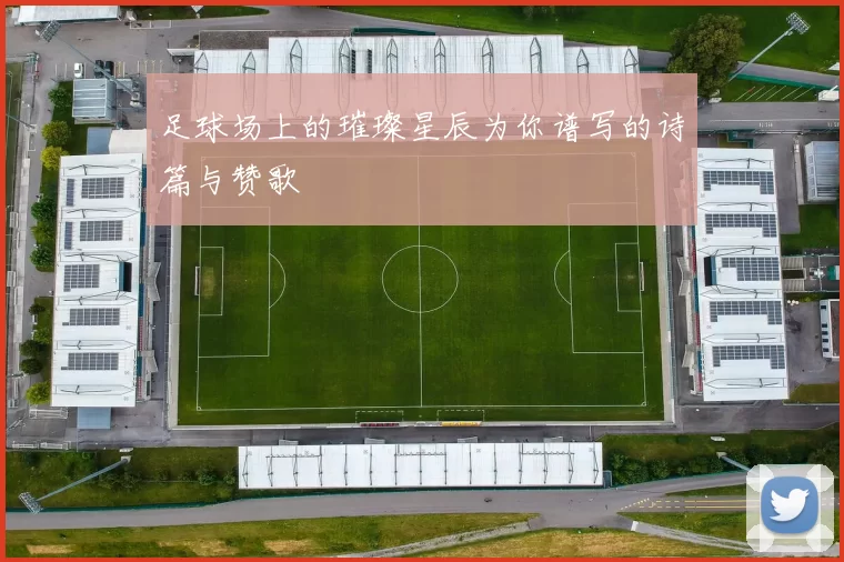 足球场上的璀璨星辰为你谱写的诗篇与赞歌