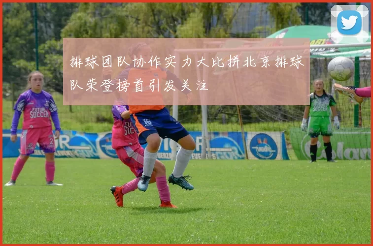 排球团队协作实力大比拼北京排球队荣登榜首引发关注