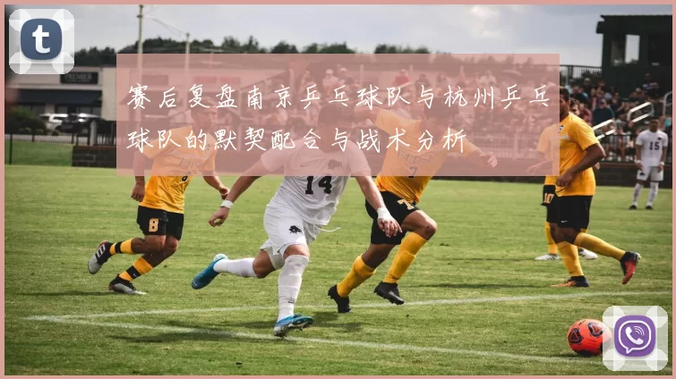 赛后复盘南京乒乓球队与杭州乒乓球队的默契配合与战术分析