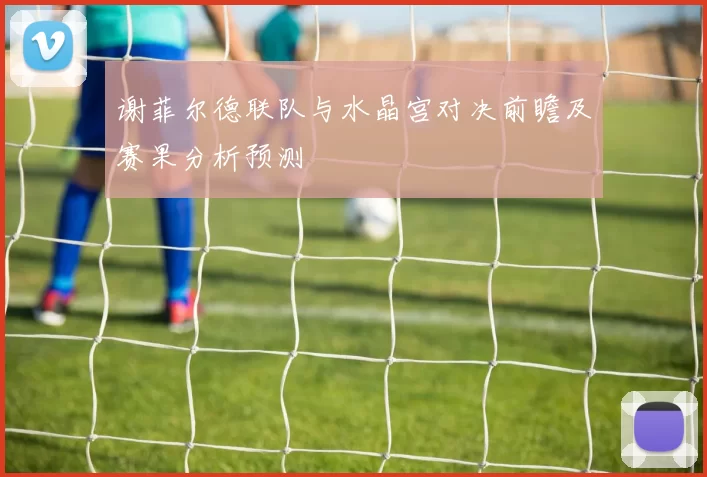 谢菲尔德联队与水晶宫对决前瞻及赛果分析预测