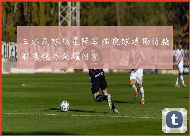 三水足球明星阵容揭晓球迷期待精彩表现与荣耀时刻