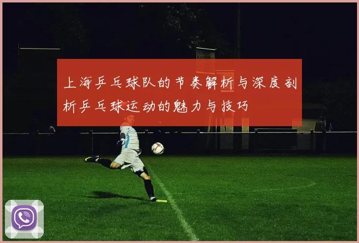 上海乒乓球队的节奏解析与深度剖析乒乓球运动的魅力与技巧