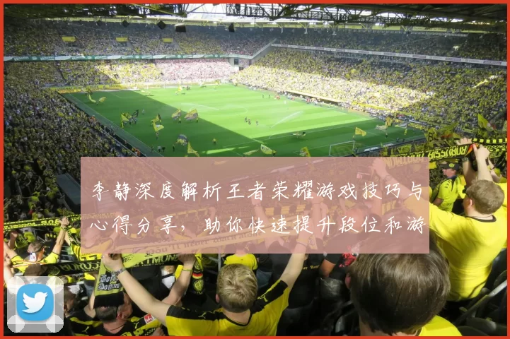 李静深度解析王者荣耀游戏技巧与心得分享，助你快速提升段位和游戏体验