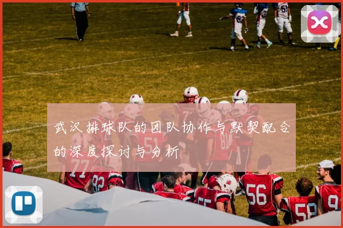 武汉排球队的团队协作与默契配合的深度探讨与分析