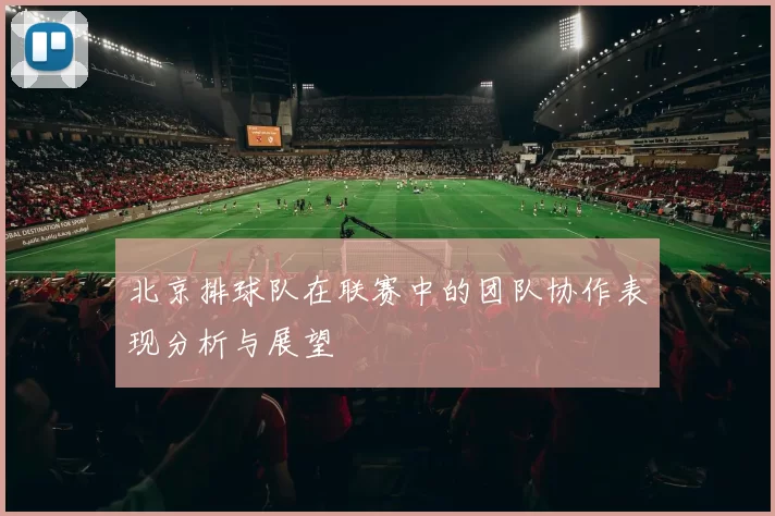 北京排球队在联赛中的团队协作表现分析与展望