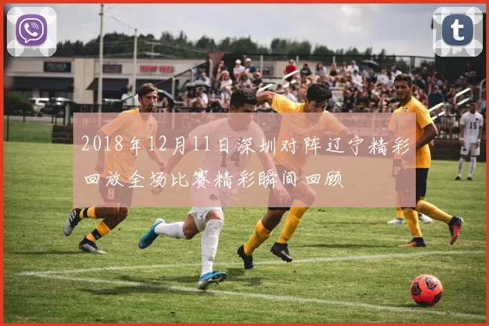 2018年12月11日深圳对阵辽宁精彩回放全场比赛精彩瞬间回顾