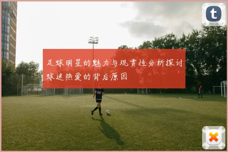 足球明星的魅力与观赏性分析探讨球迷热爱的背后原因