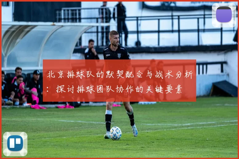 北京排球队的默契配合与战术分析：探讨排球团队协作的关键要素