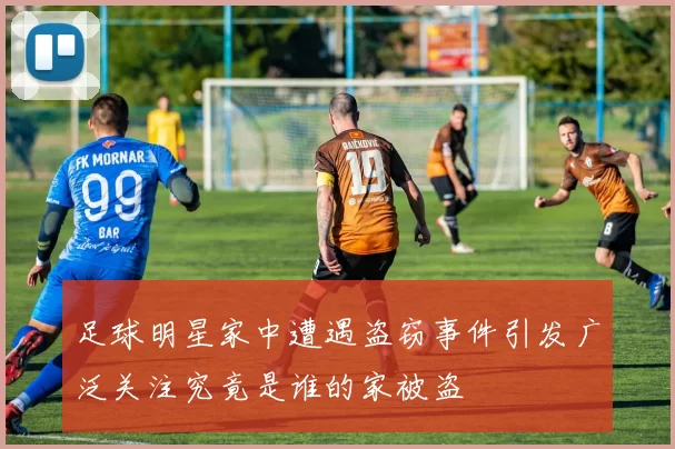 足球明星家中遭遇盗窃事件引发广泛关注究竟是谁的家被盗